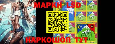 spice Кулебаки