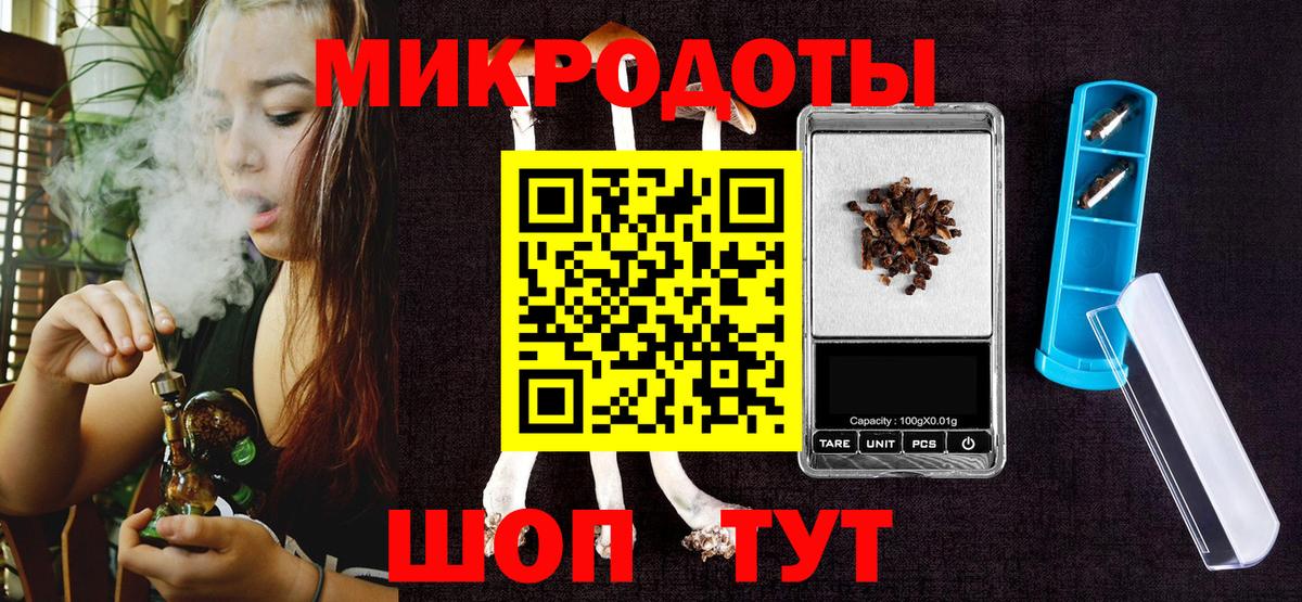 Псилоцибиновые грибы Psilocybe Вязьма